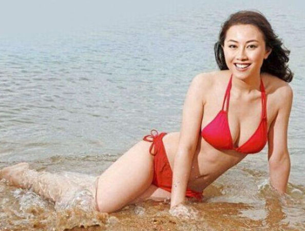 港姐袁嘉敏（资料图）