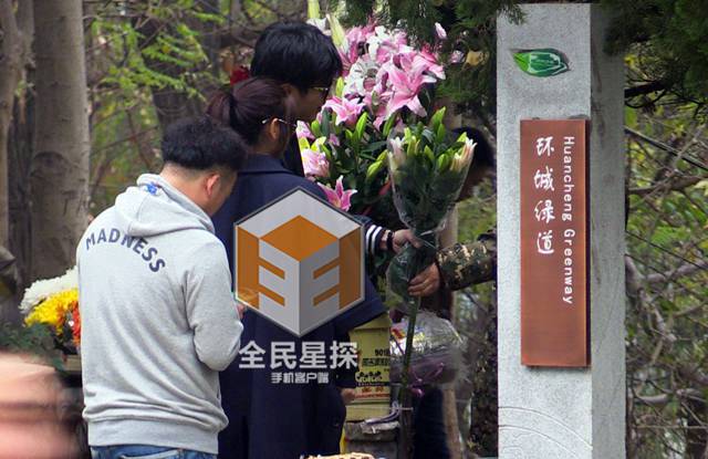 陈晓返乡认亲祭祖 与陈妍希林中热吻