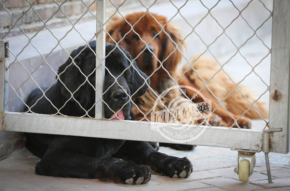 2015新一波明星豪宅曝光 “隐形富豪”蓝燕购李嘉诚别墅