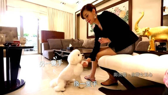 2015新一波明星豪宅曝光 “隐形富豪”蓝燕购李嘉诚别墅