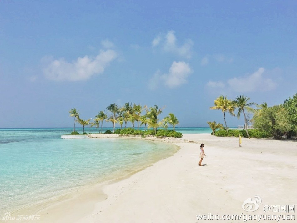 高圆圆海岛游玩晒美照 撩发甜笑尽显优雅气质