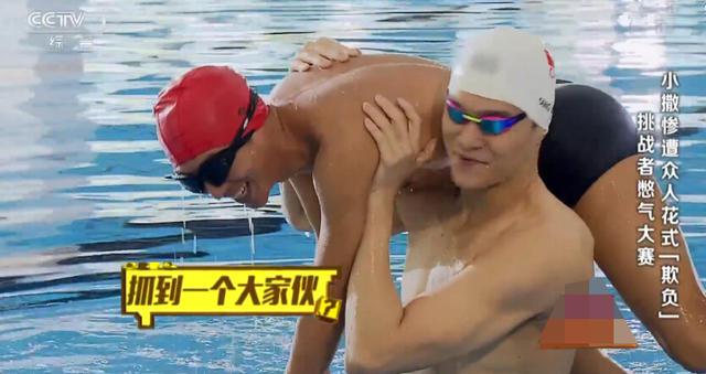 孙杨一把将撒贝宁扔进泳池 手放哪呢？