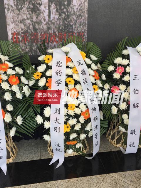 组图：杨洁追悼会举行 六小龄童徐少华等现身