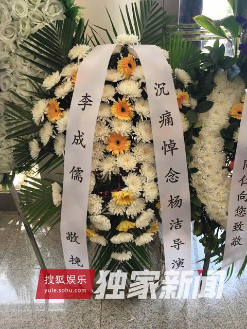 组图：杨洁追悼会举行 六小龄童徐少华等现身