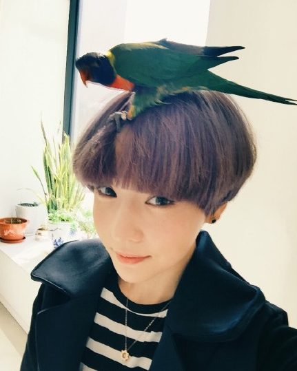 徐粲金早前微博照